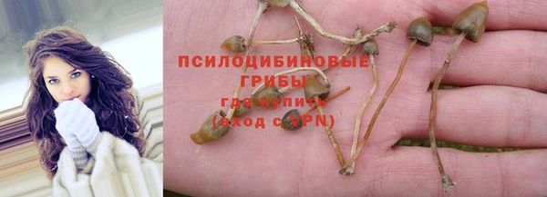 каннабис Бородино