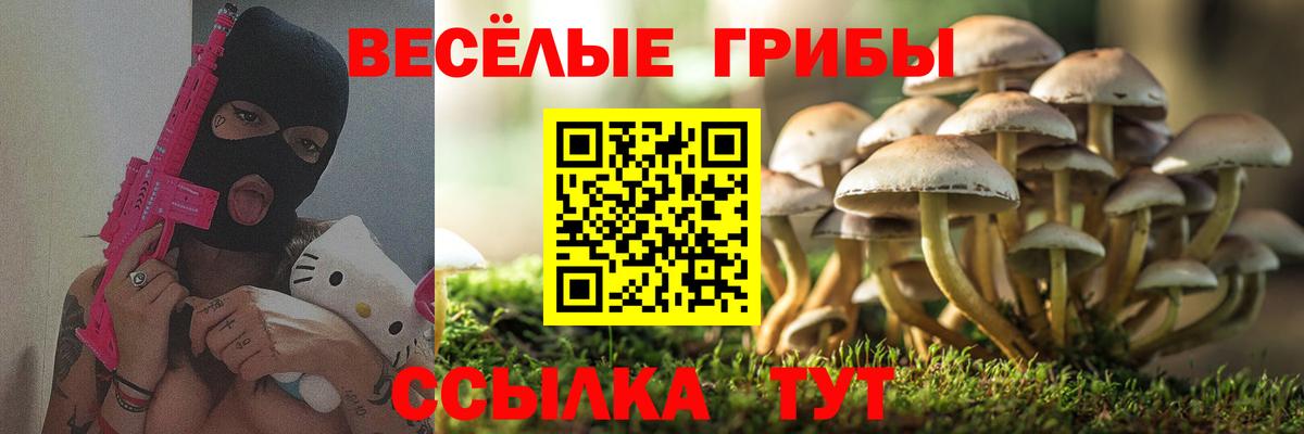 Псилоцибиновые грибы GOLDEN TEACHER  Псилоцибиновые грибы GOLDEN TEACHER  Вичуга  как найти   Вход с VPN 