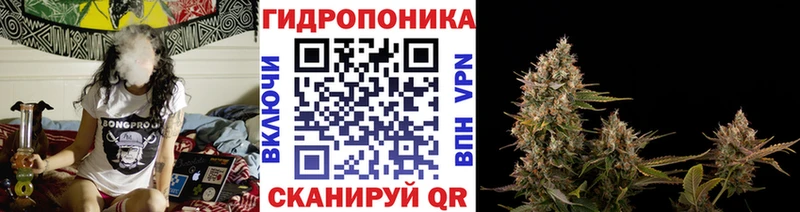 где можно купить наркотик  mega ссылка  Шишки марихуана ГИДРОПОН  Вичуга 